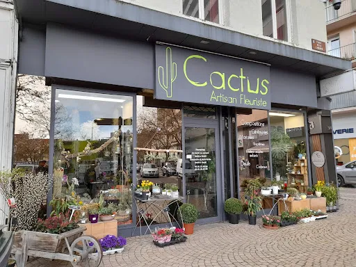 CACTUS CRÉATION à Saint-Chamond