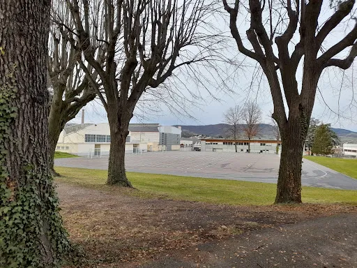 Cité Scolaire Claude Lebois à Saint-Chamond