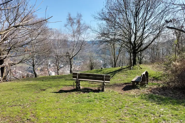 Visite commentée du Bois d'Avaize à Saint-Étienne