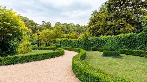 Grimpereau Paysage à Saint-Chamond