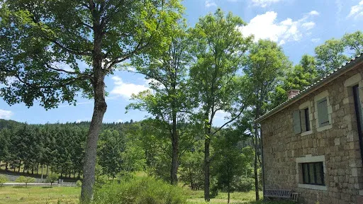 Le Jardin de Rigaudin EURL BONNIER à Saint-Chamond